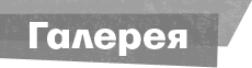 Галлерея