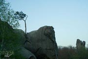 Dovbush