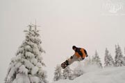 Karpaty
