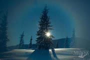 Karpaty