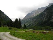 zillertal