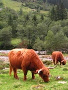 zillertal